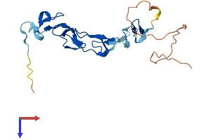 AlphaFold protein structure predicition of Human Recombinant EGFEM1P Protein, UniprotID Q0D2K5