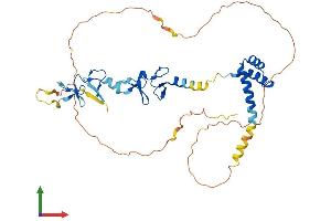 Protein Structure (PS) image for LIM Homeobox 4 (LHX4) (AA 1-390) protein (His tag) (ABIN7549011)