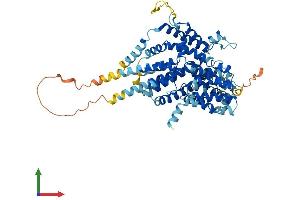 Protein Structure (PS) image for Solute Carrier Family 13 Member 2 (SLC13A2) (AA 1-592) protein (His tag) (ABIN7545919)
