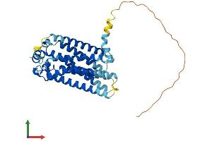 Protein Structure (PS) image for Sphingosine-1-Phosphate Receptor 2 (S1PR2) (AA 1-352) protein (His tag) (ABIN7563417)