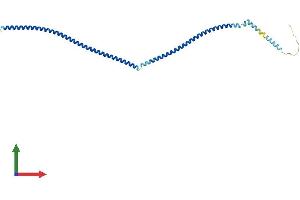 Protein Structure (PS) image for Chromosome 10 Open Reading Frame 96 (C10orf96) (AA 1-267) protein (His tag) (ABIN7558476)