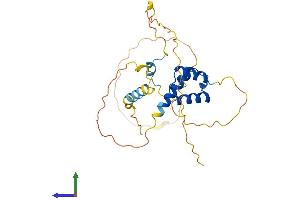 Protein Structure (PS) image for NK6 Homeobox 3 (NKX6-3) (AA 1-265) protein (His tag) (ABIN7549741)