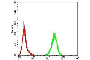Flow cytometric analysis of Hela cells using PLCG1 mouse mAb (green) and negative control (red). (Phospholipase C gamma 1 Antikörper  (AA 39-181))