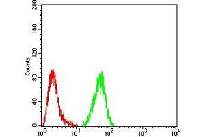 Flow Cytometry (FACS) image for anti-Isocitrate Dehydrogenase 2 (NADP+), Mitochondrial (IDH2) (AA 1-143) antibody (ABIN7193379)