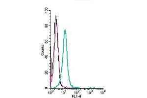 Cell surface detection of PepT2/SLC15A2 by indirect flow cytometry in live intact human  monocytic leukemia cells: + goat-anti-rabbit-FITC.