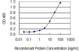 Detection limit for recombinant GST tagged ABO is 0. (ABO Antikörper  (AA 273-354))