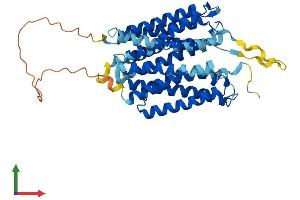 Protein Structure (PS) image for G Protein-Coupled Receptor 172A (GPR172A) (AA 1-445) protein (His tag) (ABIN7555367)