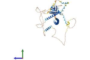 Protein Structure (PS) image for Enabled Homolog (ENAH) (AA 1-591) protein (His tag) (ABIN7547324)