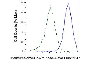 Validation of Methylmalonyl-CoA mutase knockdown using flow cytometry. (Rekombinanter MUT Antikörper)