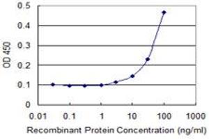 Detection limit for recombinant GST tagged EPHB2 is 3 ng/ml as a capture antibody. (EPH Receptor B2 Antikörper  (AA 226-325))