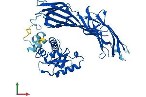 Protein Structure (PS) image for Adaptor-Related Protein Complex 3, mu 2 Subunit (AP3M2) (AA 1-418) protein (His tag) (ABIN7559703)