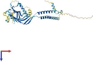 ERGIC2 Protein (AA 1-377) (His tag)