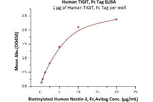 Immobilized Human TIGIT, Fc Tag (ABIN2181815,ABIN6951013) at 10 μg/mL (100 μL/well) can bind Biotinylated Human Nectin-2, Fc,Avitag (ABIN5526672,ABIN5526673) with a linear range of 0. (TIGIT Protein (AA 22-141) (Fc Tag))