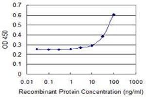 Detection limit for recombinant GST tagged GLI3 is 3 ng/ml as a capture antibody. (GLI3 Antikörper  (AA 1-110))