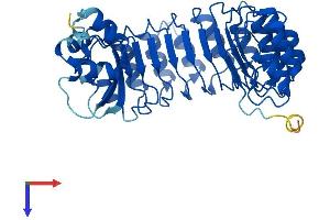 FBXL14 Protein (AA 1-400) (His tag)