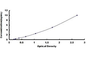 Typical standard curve