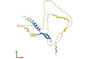 Protein Structure (PS) image for B-Cell CLL/lymphoma 7C (BCL7C) (AA 1-217) protein (His tag) (ABIN7562187)