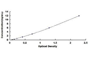 Typical standard curve