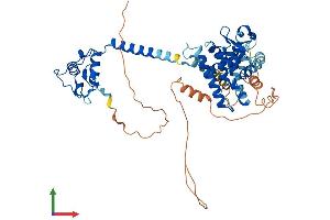 Protein Structure (PS) image for Thyroid Hormone Receptor, alpha (THRA) (AA 1-492) protein (His tag) (ABIN7556642)