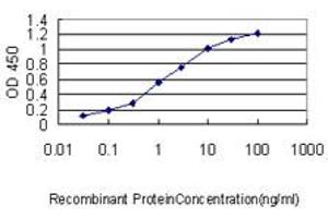 Detection limit for recombinant GST tagged MPP3 is approximately 0. (MPP3 Antikörper  (AA 1-585))