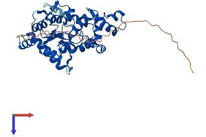 CHST13 Protein (AA 1-341) (His tag)