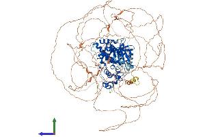 Protein Structure (PS) image for Homeodomain Interacting Protein Kinase 3 (HIPK3) (AA 1-1215) protein (His tag) (ABIN7554111)