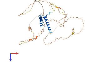 HOXA13 Protein (AA 1-386) (His tag)