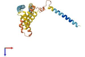 BRI3BP Protein (AA 1-251) (His tag)