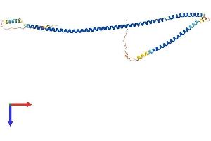 SYCE1 Protein (AA 1-329) (His tag)