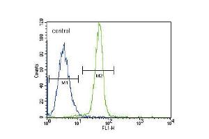Flow cytometric analysis of K562 cells (right histogram) compared to a negative control cell (left histogram). (Leptin Receptor Antikörper  (N-Term))