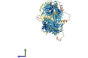 AlphaFold protein structure predicition of Human Recombinant ABCA6 Protein, UniprotID Q8N139