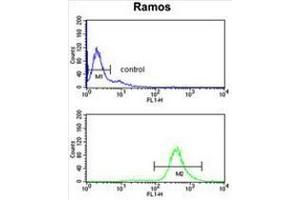 Flow Cytometry (FACS) image for anti-Eukaryotic Translation Initiation Factor 2A, 65kDa (EIF2A) (AA 444-473), (Middle Region) antibody (ABIN952042)