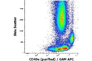 Flow cytometry surface staining pattern of human peripheral whole blood stained using anti-human CD49e (SAM1) purified antibody (concentration in sample 1,7 μg/mL, GAM APC). (ITGA5 Antikörper)