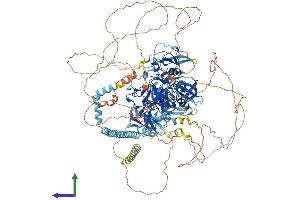 Protein Structure (PS) image for SET Domain, Bifurcated 1 (SETDB1) (AA 1-1291) protein (His tag) (ABIN7555454)