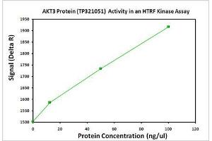 Bioactivity measured with Activity Assay