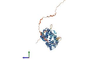 Protein Structure (PS) image for Monocarboxylate Transporter 3 (MCT3) (AA 1-492) protein (His tag) (ABIN7562298)