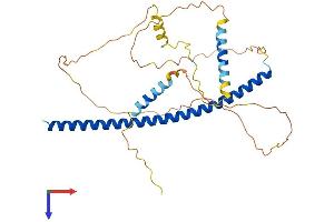 PAWR Protein (AA 1-340) (His tag)