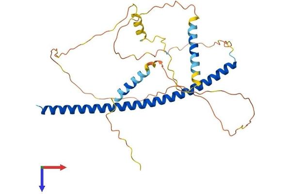 PAWR Protein (AA 1-340) (His tag)