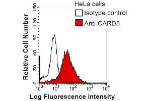 HeLa cells were fixed in 2% paraformaldehyde/PBS and then permeabilized in 90% methanol. (CARD8 Antikörper)