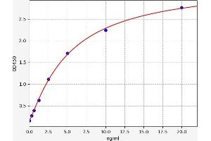 CCR5 ELISA Kit