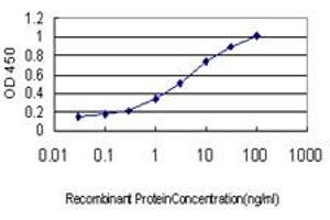 Detection limit for recombinant GST tagged ABCC6 is approximately 0. (ABCC6 Antikörper  (AA 831-930))