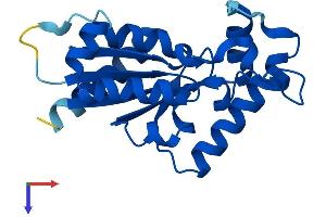 ITGB1BP3 Protein (AA 1-195) (His tag)
