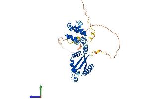 Protein Structure (PS) image for Death Effector Domain Containing (DEDD) (AA 1-318) protein (His tag) (ABIN7547037)
