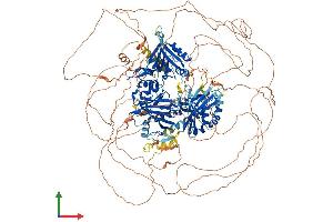 Protein Structure (PS) image for Zinc Finger, FYVE Domain Containing 9 (ZFYVE9) (AA 1-1425) protein (His tag) (ABIN7556095)
