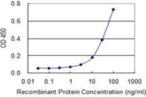 Detection limit for recombinant GST tagged ZYX is 1 ng/ml as a capture antibody. (ZYX Antikörper  (AA 1-572))