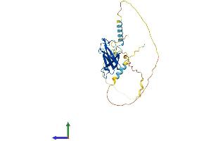 Protein Structure (PS) image for ELL Associated Factor 1 (EAF1) (AA 1-268) protein (His tag) (ABIN7547284)