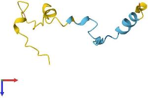 CAMK2N1 Protein (AA 1-78) (Fc Tag)