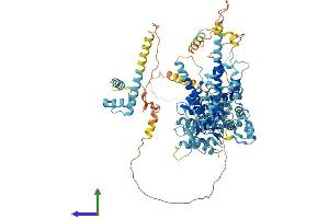AlphaFold protein structure predicition of Human Recombinant NVL Protein, UniprotID O15381