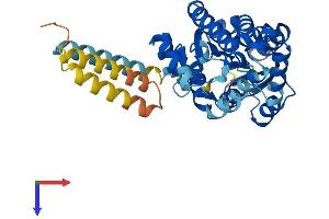 AlphaFold protein structure predicition of Mouse Recombinant Hsd17b2 Protein, UniprotID P51658