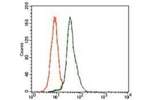 Flow cytometric analysis of HeLa cells using E2F1 mouse mAb (green) and negative control (red). (E2F1 Antikörper  (AA 69-223))